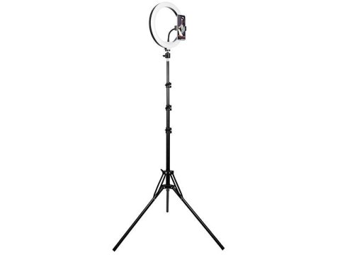 Lampa pierścieniowa Tracer RING 30cm ze statywem 210cm Tracer Lampa pierścieniowa Tracer RING 30cm ze statywem 210cm Tracer