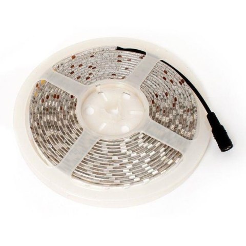 Taśma LED-5050 Abilite b.ciepła 300LED 12V IP65 5m/10mm silikon Abilite Taśma LED-5050 Abilite b.ciepła 300LED 12V IP65 5m/10mm silikon Abilite