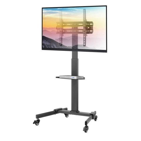 Stojak mobilny Techly 32"-55", 35kg, z półką Techly