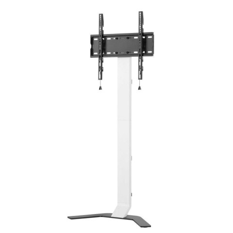 Stojak podłogowy Techly 32"-70" 40kg Slim Techly
