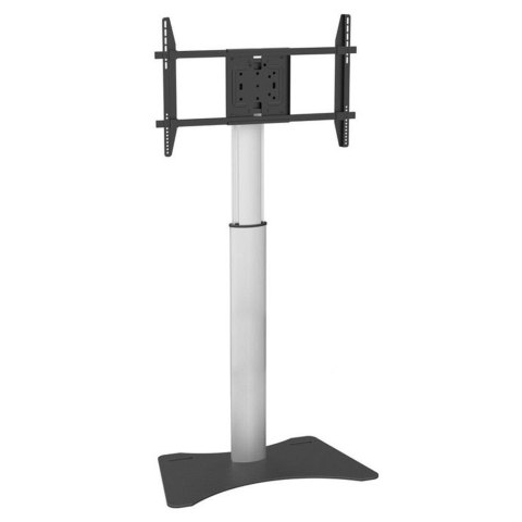 Stojak podłogowy Techly 32"-70", 40kg regulowany Techly