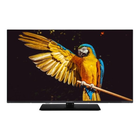 Telewizor GoGEN TVF32M340STWEB 32" GoGEN Telewizor GoGEN TVF32M340STWEB 32" GoGEN